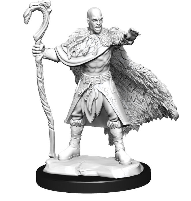 DND UNPAINTED MINIS WV14 HUMAN DRUID MALE