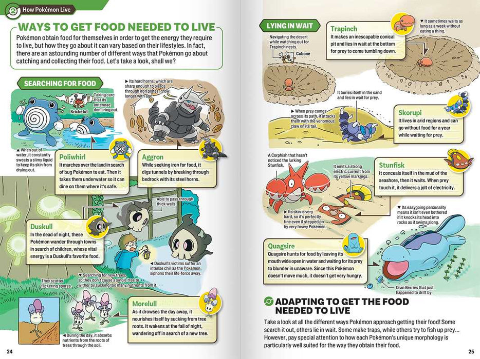 Pokecology An Illustrated Guide to Pokemon Ecology | Art Book