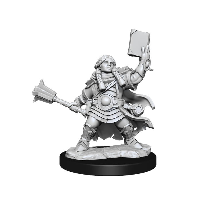 DND FRAMEWORKS WV1 DWARF CLERIC FEMALE