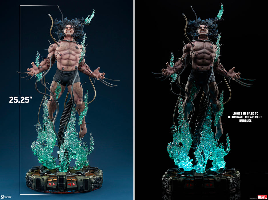 [PREORDER] Wolverine: Weapon X Premium Format™ Figure