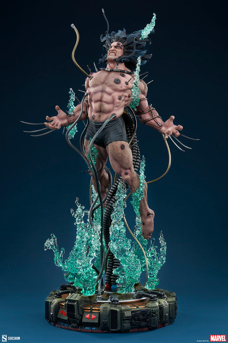 [PREORDER] Wolverine: Weapon X Premium Format™ Figure