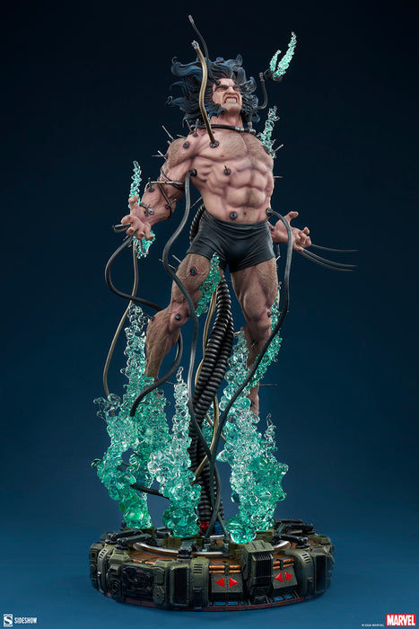 [PREORDER] Wolverine: Weapon X Premium Format™ Figure