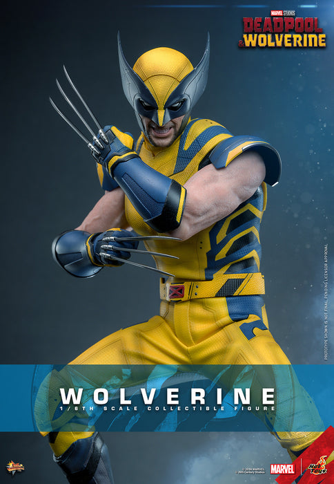 [PRE-ORDER] Wolverine Sixth Scale Figure