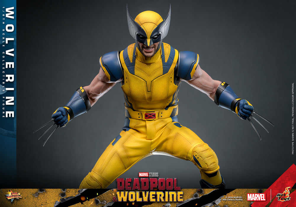 [PRE-ORDER] Wolverine Sixth Scale Figure