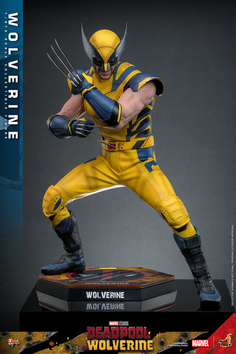 [PRE-ORDER] Wolverine Sixth Scale Figure