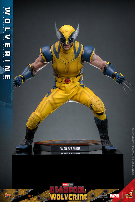 [PRE-ORDER] Wolverine Sixth Scale Figure