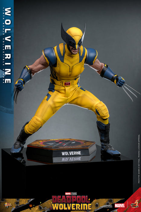 [PRE-ORDER] Wolverine Sixth Scale Figure