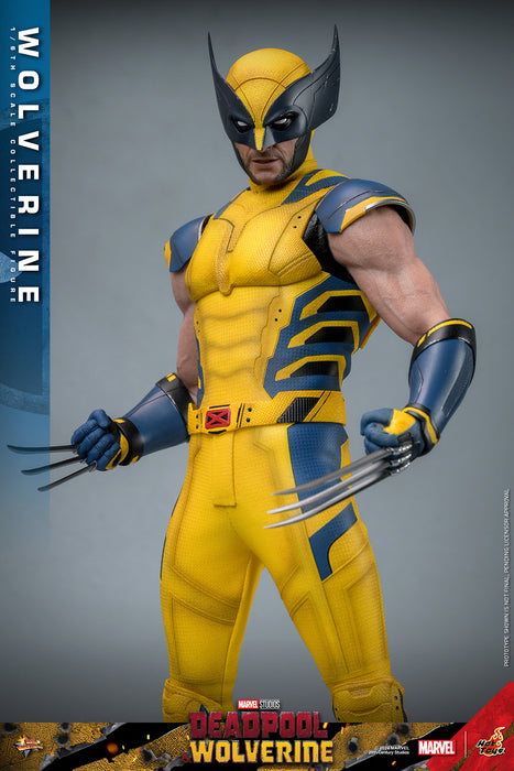 [PRE-ORDER] Wolverine Sixth Scale Figure