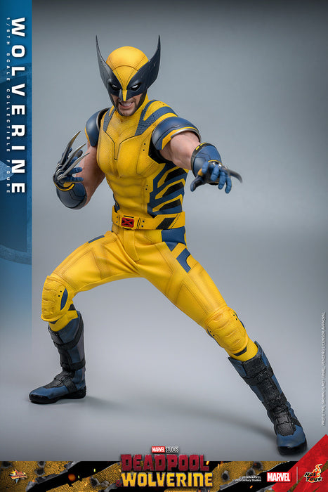 [PRE-ORDER] Wolverine Sixth Scale Figure