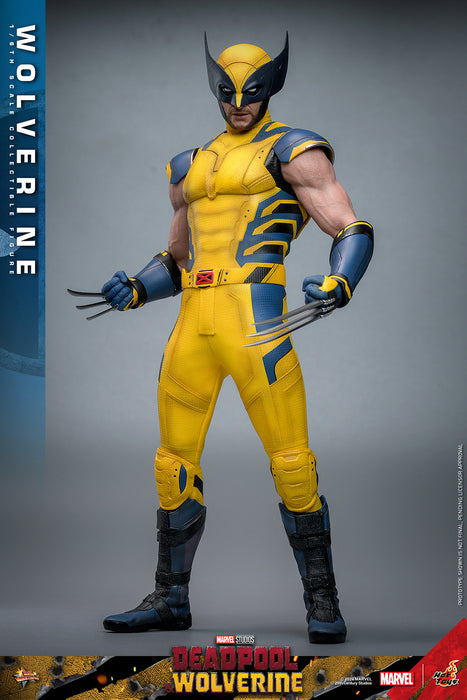 [PRE-ORDER] Wolverine Sixth Scale Figure