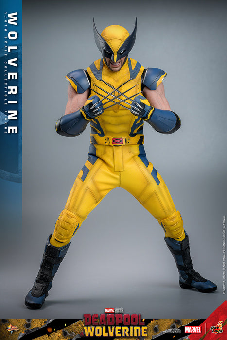 [PRE-ORDER] Wolverine Sixth Scale Figure