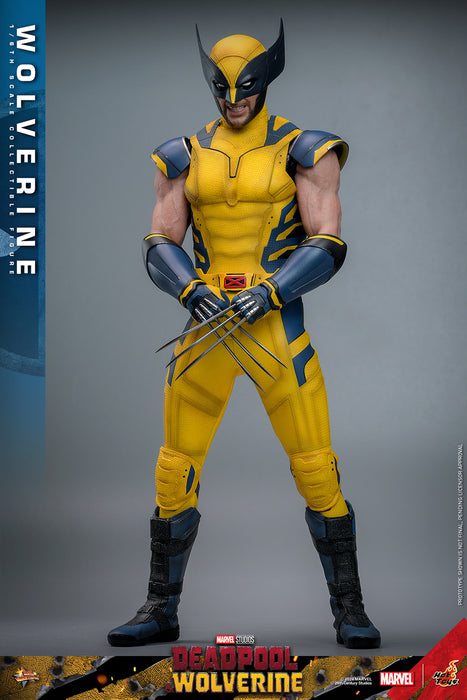 [PRE-ORDER] Wolverine Sixth Scale Figure