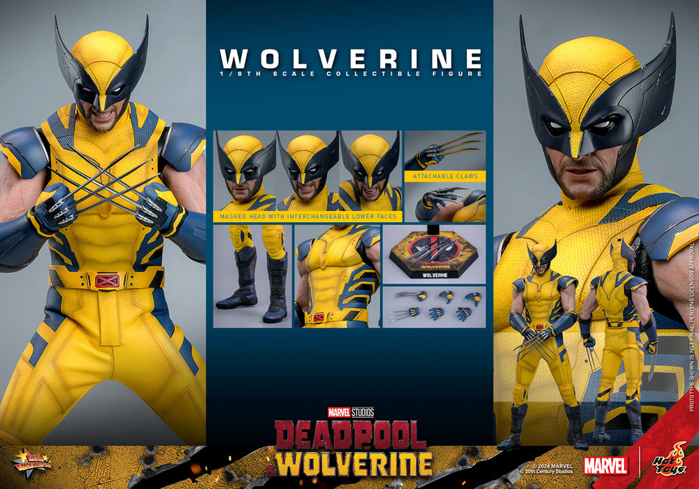 [PRE-ORDER] Wolverine Sixth Scale Figure