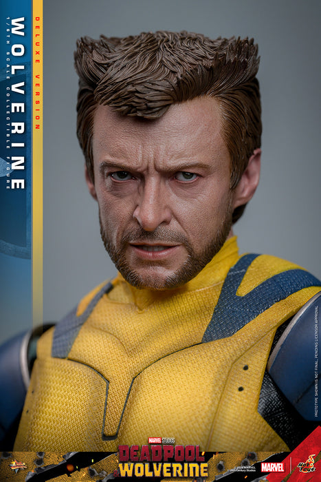 [PRE-ORDER] Wolverine (Deluxe Version) Sixth Scale Figure