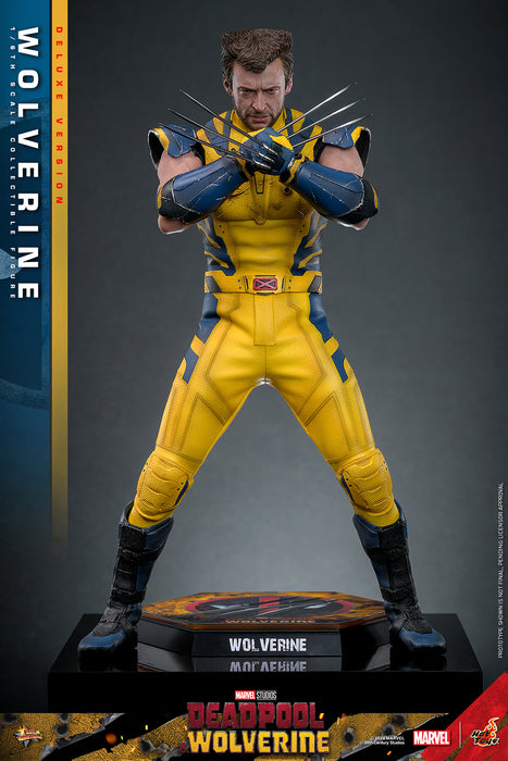 [PRE-ORDER] Wolverine (Deluxe Version) Sixth Scale Figure