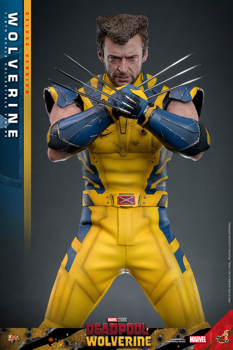 [PRE-ORDER] Wolverine (Deluxe Version) Sixth Scale Figure