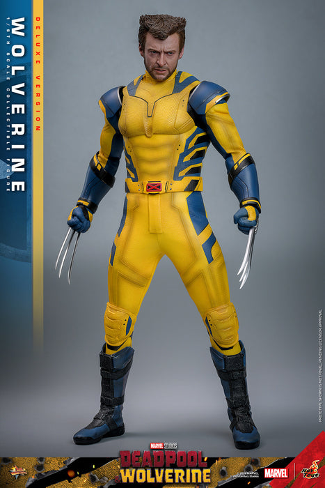 [PRE-ORDER] Wolverine (Deluxe Version) Sixth Scale Figure