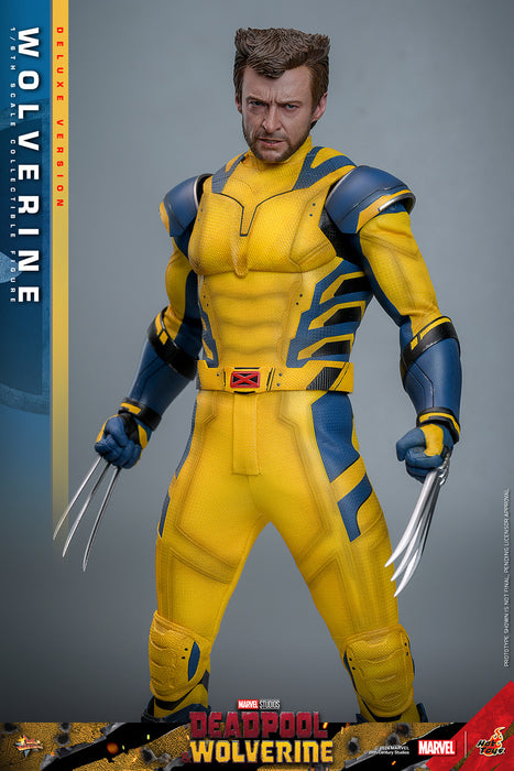 [PRE-ORDER] Wolverine (Deluxe Version) Sixth Scale Figure