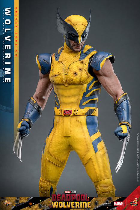 [PRE-ORDER] Wolverine (Deluxe Version) Sixth Scale Figure