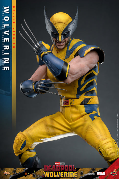 [PRE-ORDER] Wolverine (Deluxe Version) Sixth Scale Figure