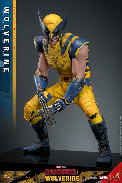 [PRE-ORDER] Wolverine (Deluxe Version) Sixth Scale Figure