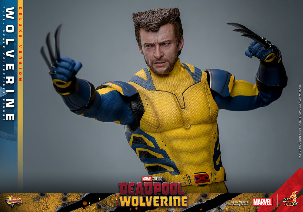 [PRE-ORDER] Wolverine (Deluxe Version) Sixth Scale Figure