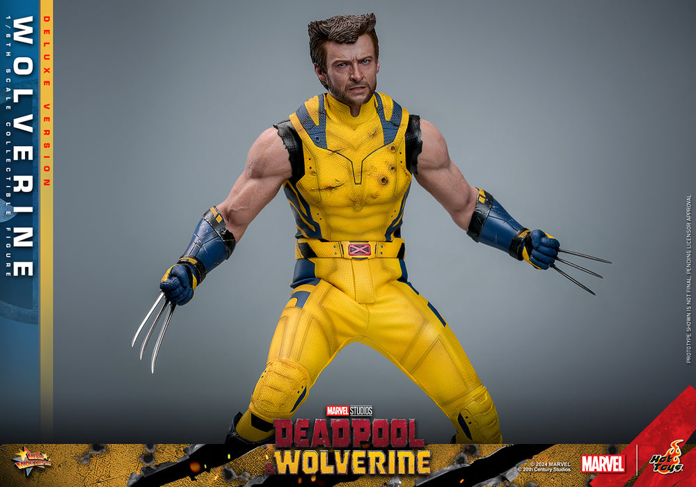 [PRE-ORDER] Wolverine (Deluxe Version) Sixth Scale Figure