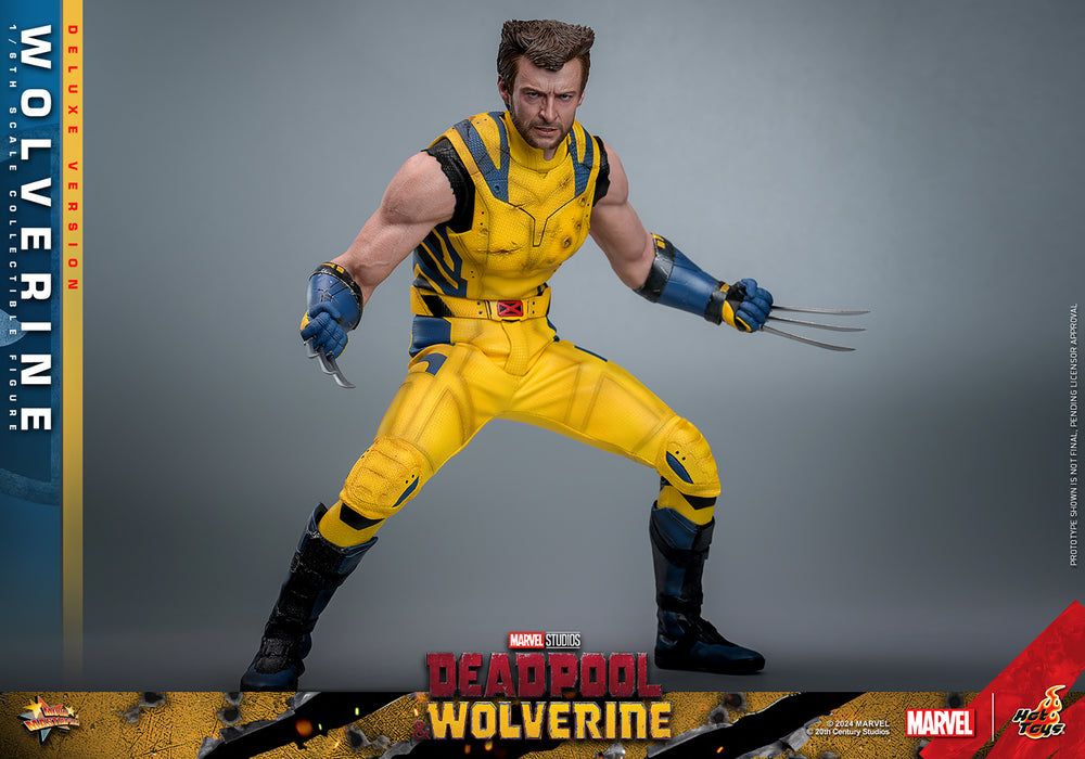 [PRE-ORDER] Wolverine (Deluxe Version) Sixth Scale Figure