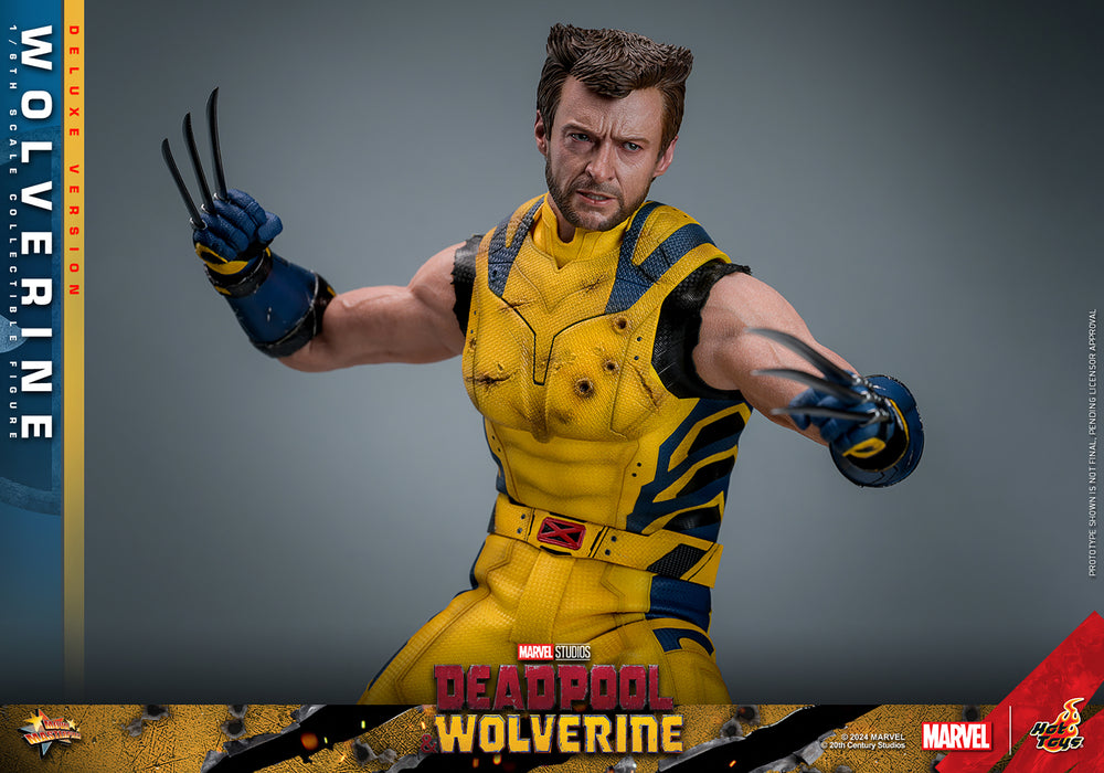 [PRE-ORDER] Wolverine (Deluxe Version) Sixth Scale Figure