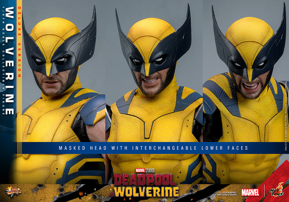 [PRE-ORDER] Wolverine (Deluxe Version) Sixth Scale Figure